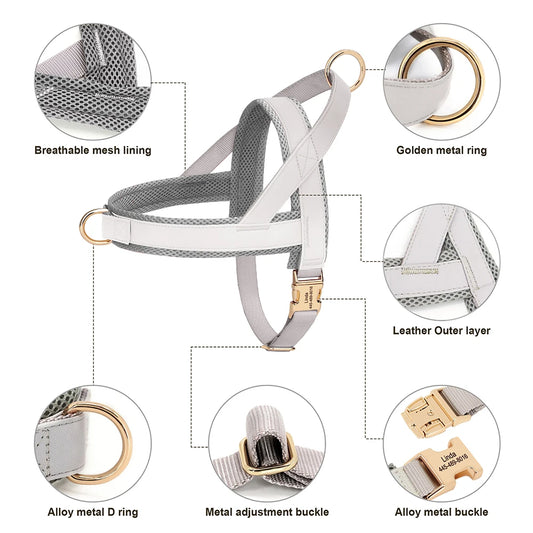 Personalized Leather Harness & Leash Set with Bag - Comfort & Style for Every Adventure