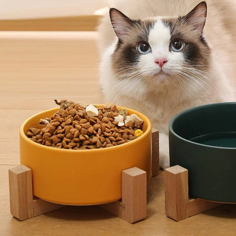 Ceramic Pet Bowl Cat Dogs Feeding Matted Elevated Dog Bowl Double Bowls Pet Food Water Feeder Wholesale Pet Manufacturer