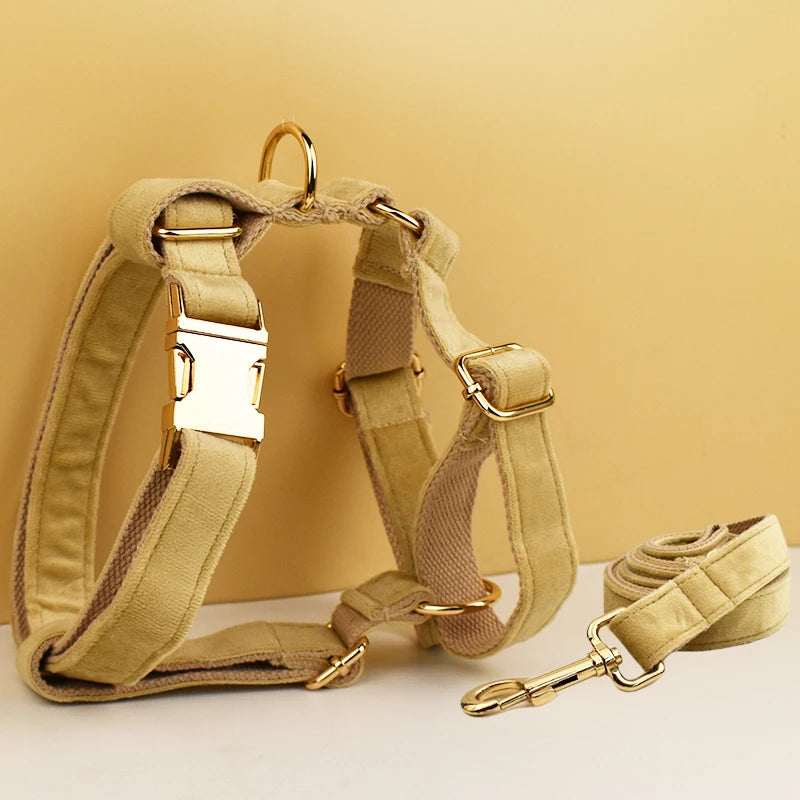 Gorgeous Unbreakable Dog Harness & Leash Set with Engraving
