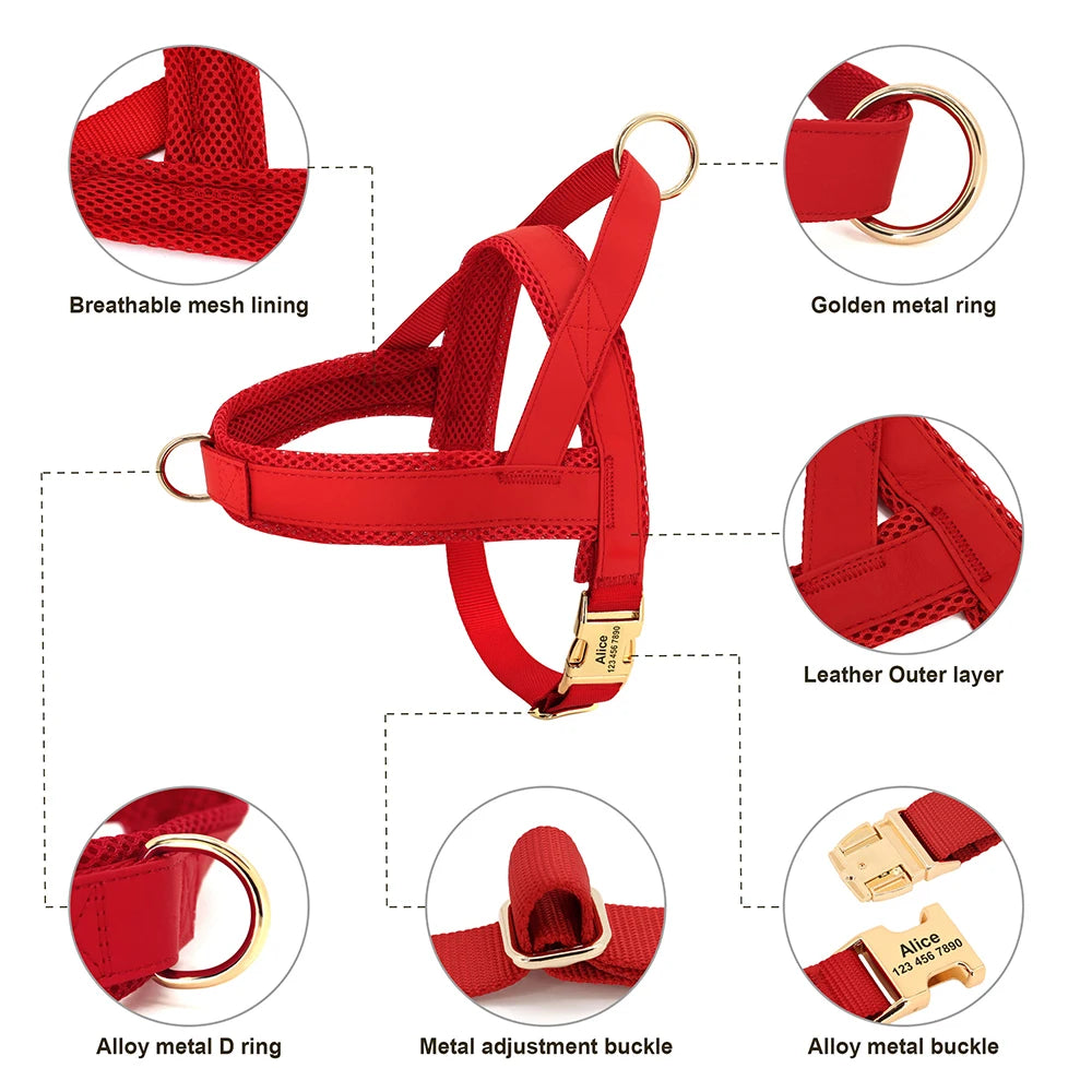 Personalized Leather Dog Collar & Harness Set with Custom ID – Perfect Fit for Every Dog