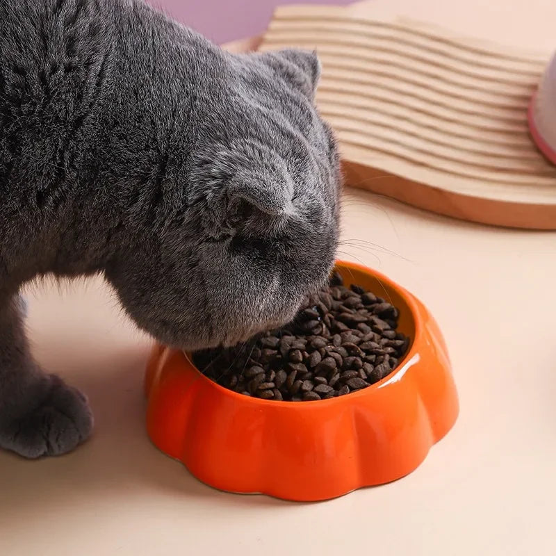 Fruit-Themed Ceramic Pet Bowls – Watermelon & Strawberry Designs