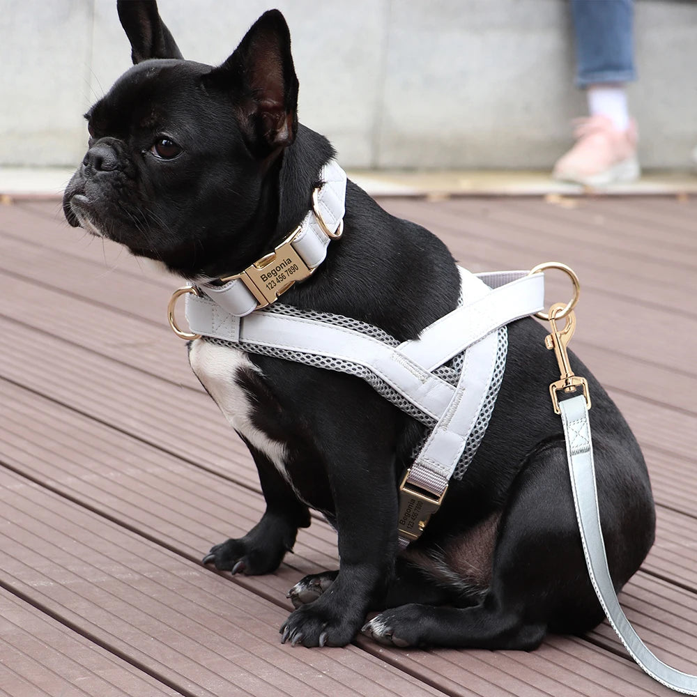 Personalized Leather Dog Collar & Harness Set with Custom ID – Perfect Fit for Every Dog