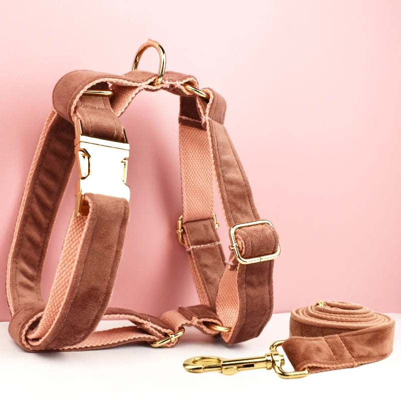 Gorgeous Unbreakable Dog Harness & Leash Set with Engraving