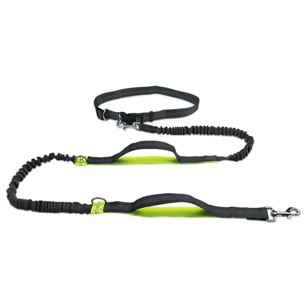 Reflective Leash Rope Dog Running Belt