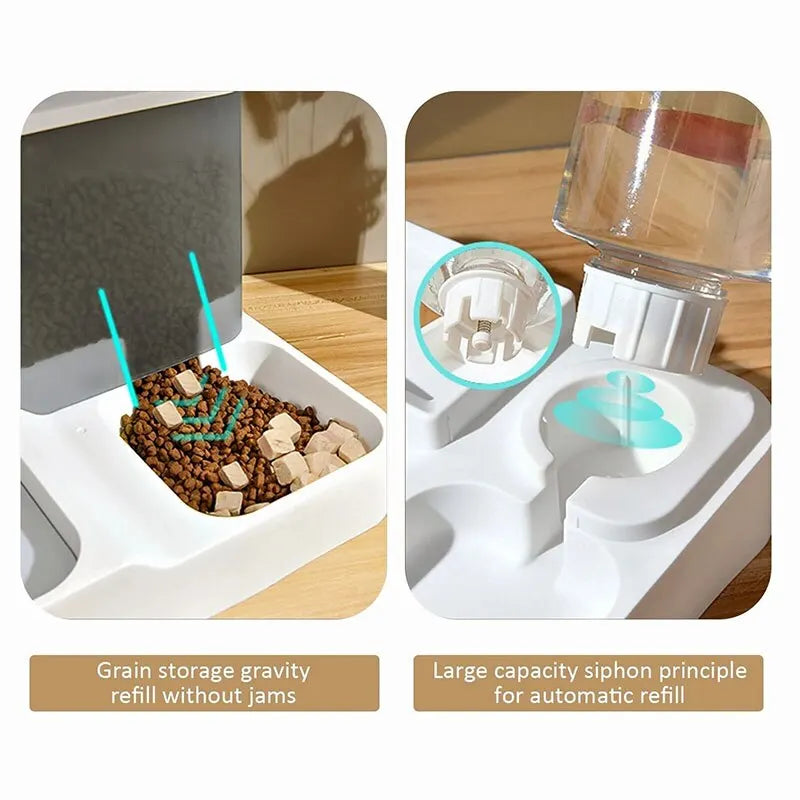 Automatic Cat Food Dispenser with Drinking Water
