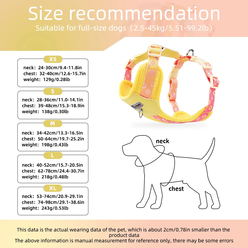 Vibrant Gradient No-Pull Dog Harness & Leash Set for Small Dogs