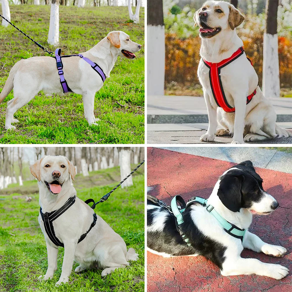 Reflective Dog Harness with Handle – Easy Control for Every Adventure