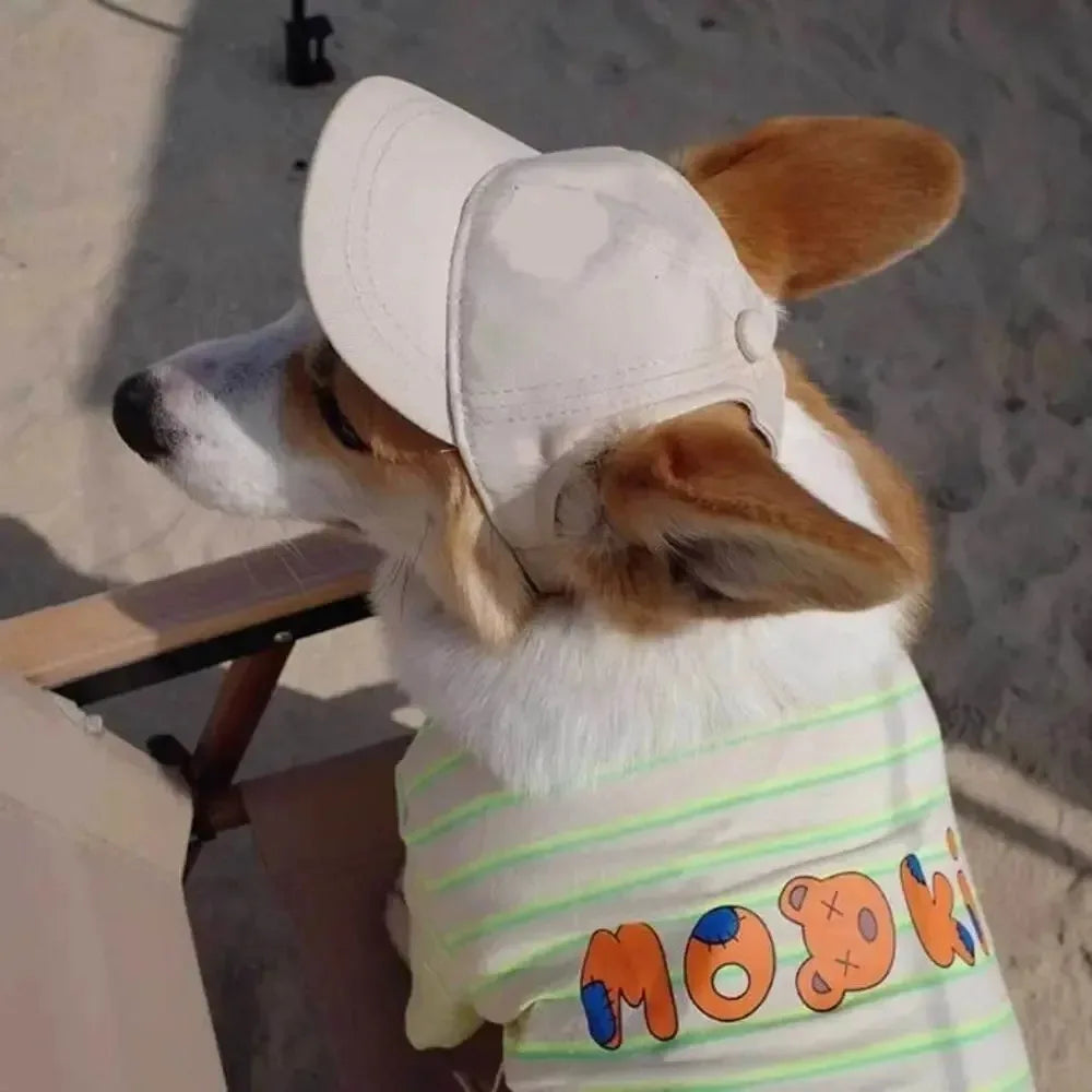 Korean Style Pet Baseball Cap – Adjustable Sun Protection for Dogs & Cats
