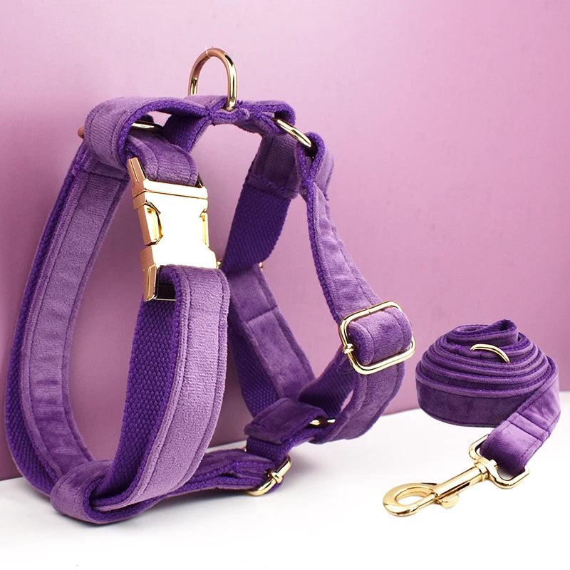 Gorgeous Unbreakable Dog Harness & Leash Set with Engraving