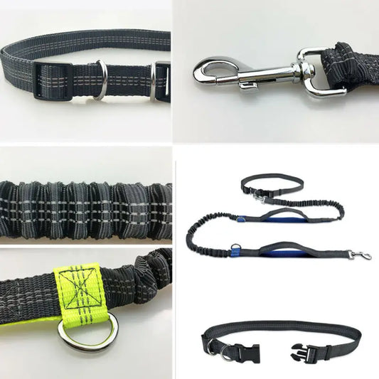 Reflective Leash Rope Dog Running Belt