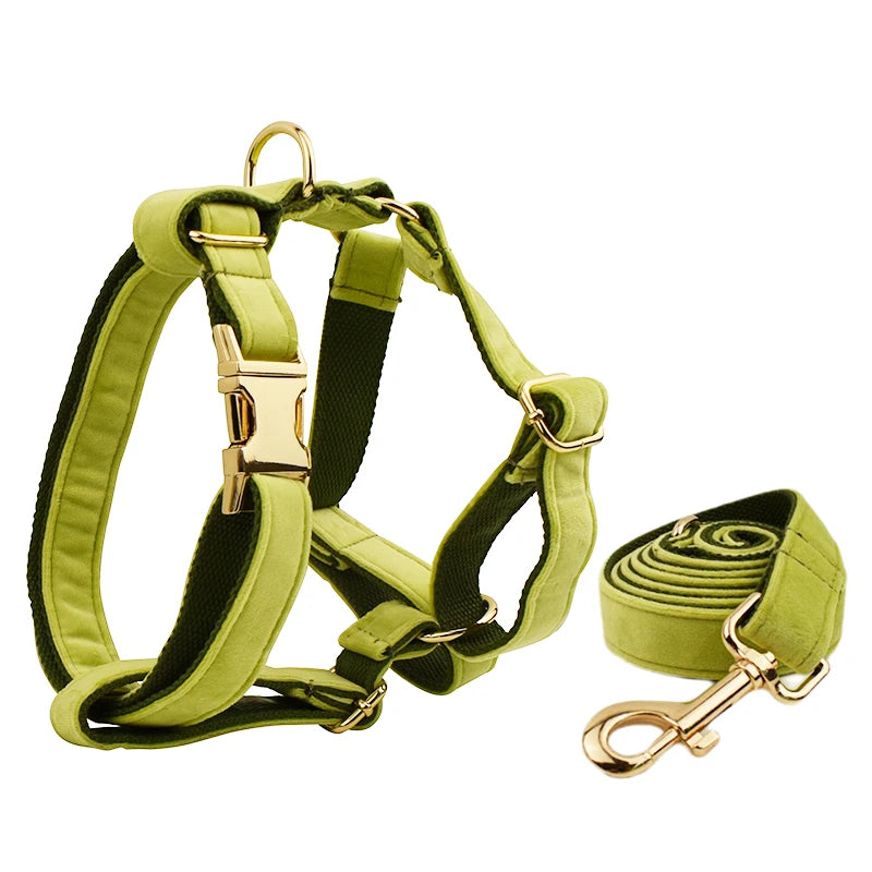Gorgeous Unbreakable Dog Harness & Leash Set with Engraving