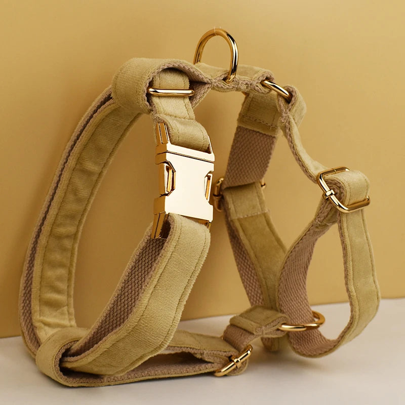 Gorgeous Unbreakable Dog Harness & Leash Set with Engraving