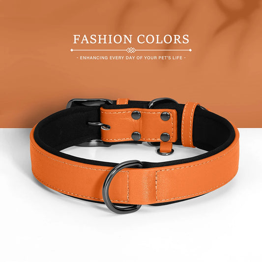 Soft Padded PU Leather Dog Collar – Stylish Comfort for All Breeds