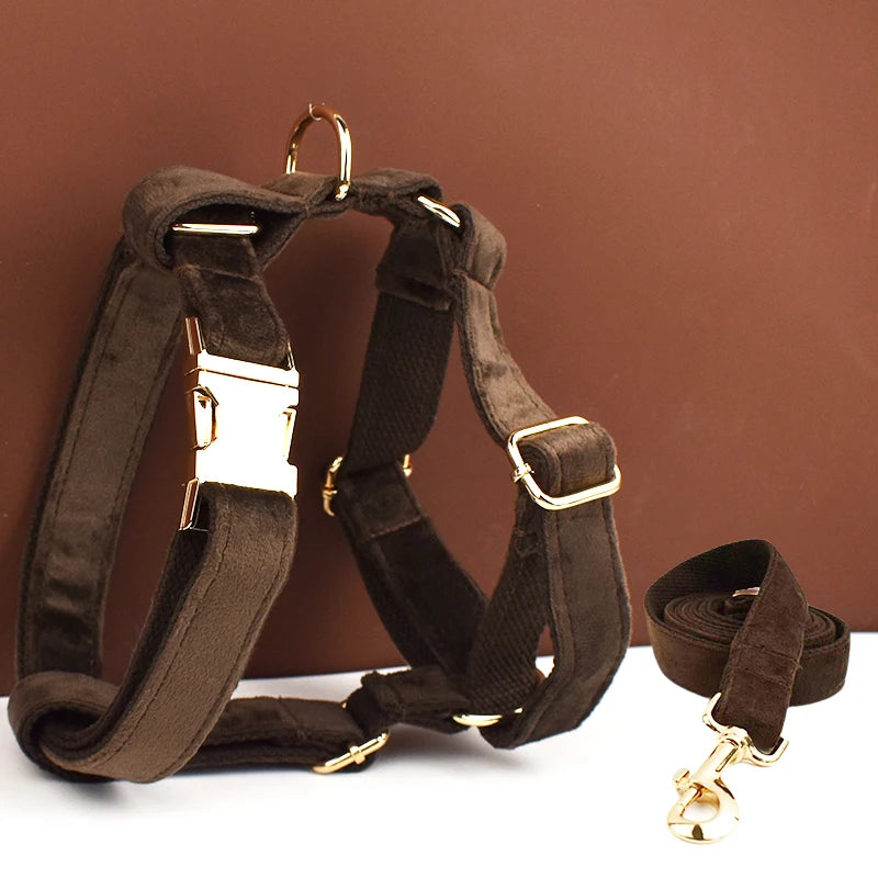 Gorgeous Unbreakable Dog Harness & Leash Set with Engraving