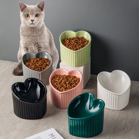 Slanted Ceramic Cat Bowl with Elevated Stand – Ergonomic Dining for Cats & Dogs