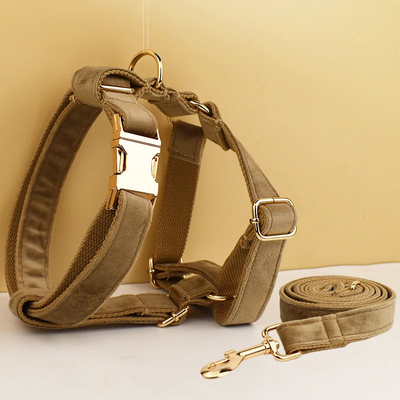 Gorgeous Unbreakable Dog Harness & Leash Set with Engraving