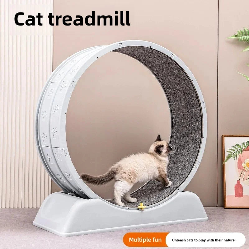 Purrfect Fitness: Easy-to-Assemble Cat Treadmill for Home Parkour