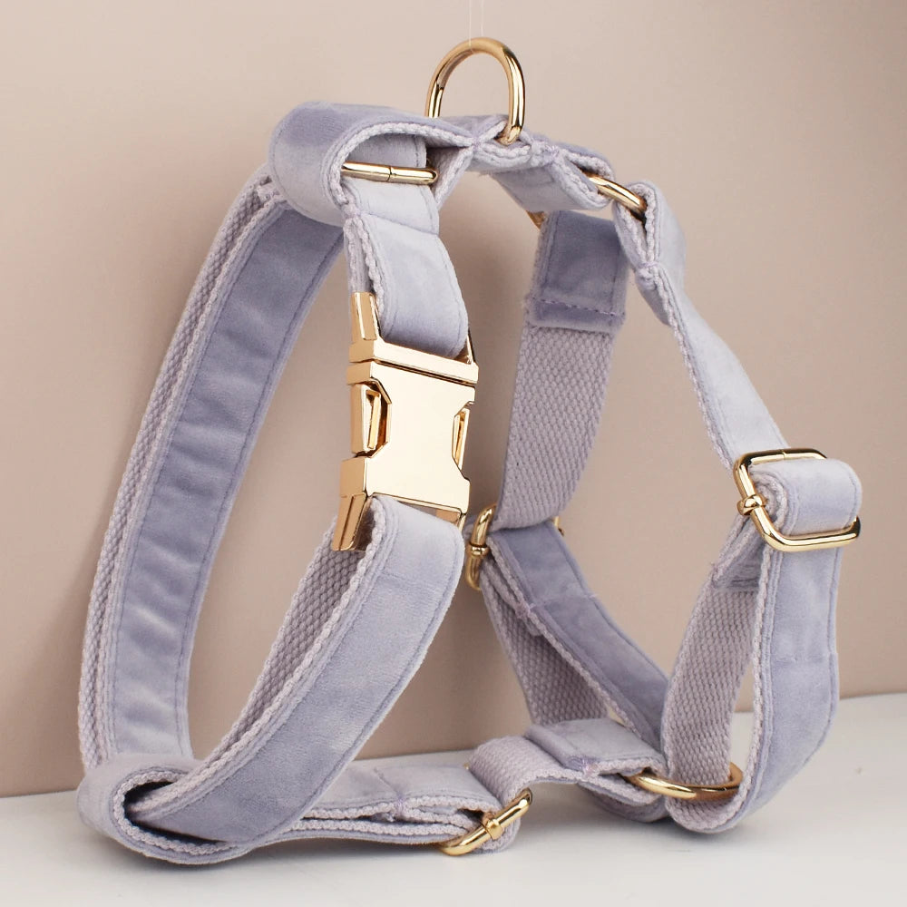 Gorgeous Unbreakable Dog Harness & Leash Set with Engraving