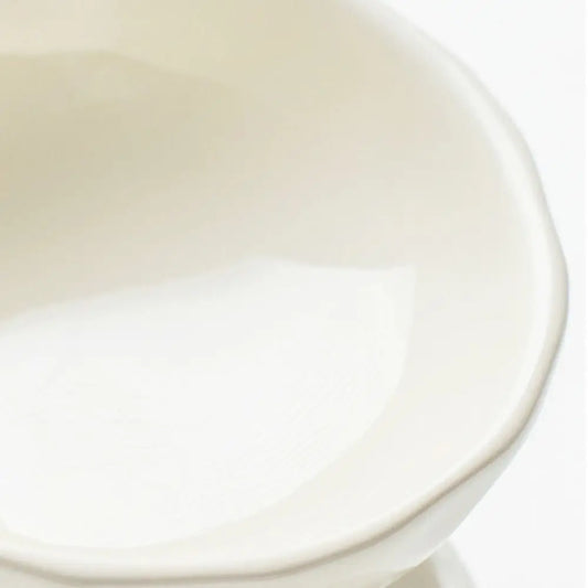 Sophisticated Ceramic Pet Bowl – Slanted Design for Comfort and Style