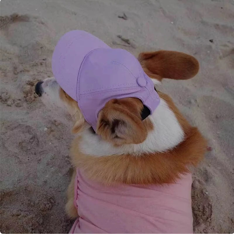 Korean Style Pet Baseball Cap – Adjustable Sun Protection for Dogs & Cats