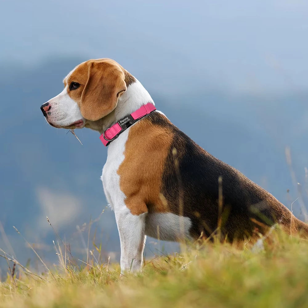 Custom PU Leather Dog Collar – Soft Padded with Engraved Name, Phone Number, ID