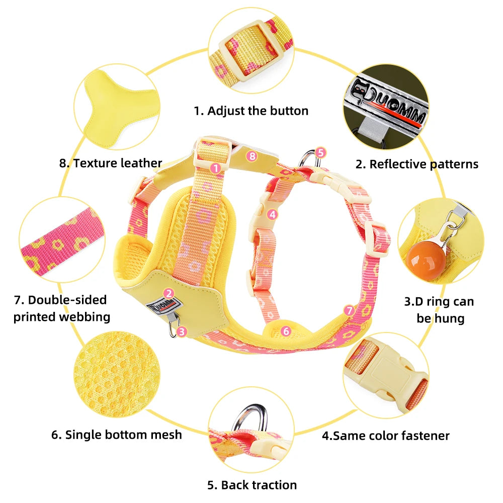 Vibrant Gradient No-Pull Dog Harness & Leash Set for Small Dogs