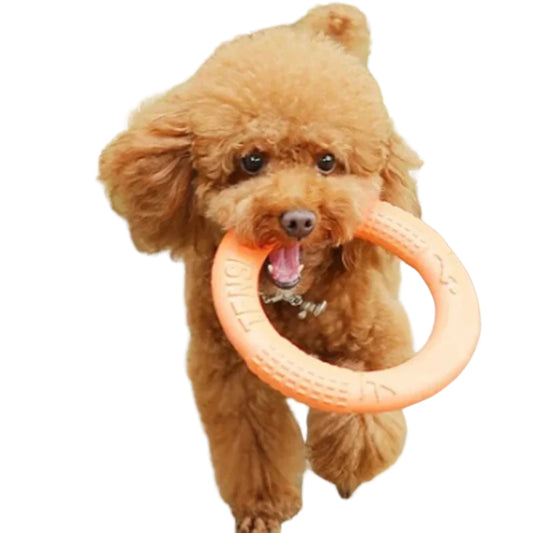 Durable EVA Flying Disc & Training Ring for Dogs