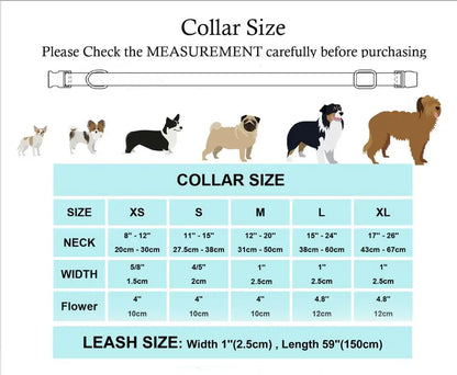 Elegant Floral Dog Harness Set with Personalized Collar & Leash