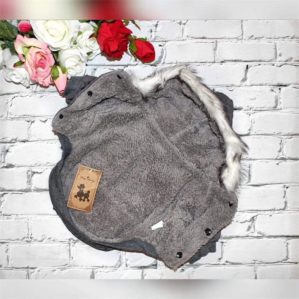 CozyPaws Winter Cotton Jacket - Warmth for Small Breeds