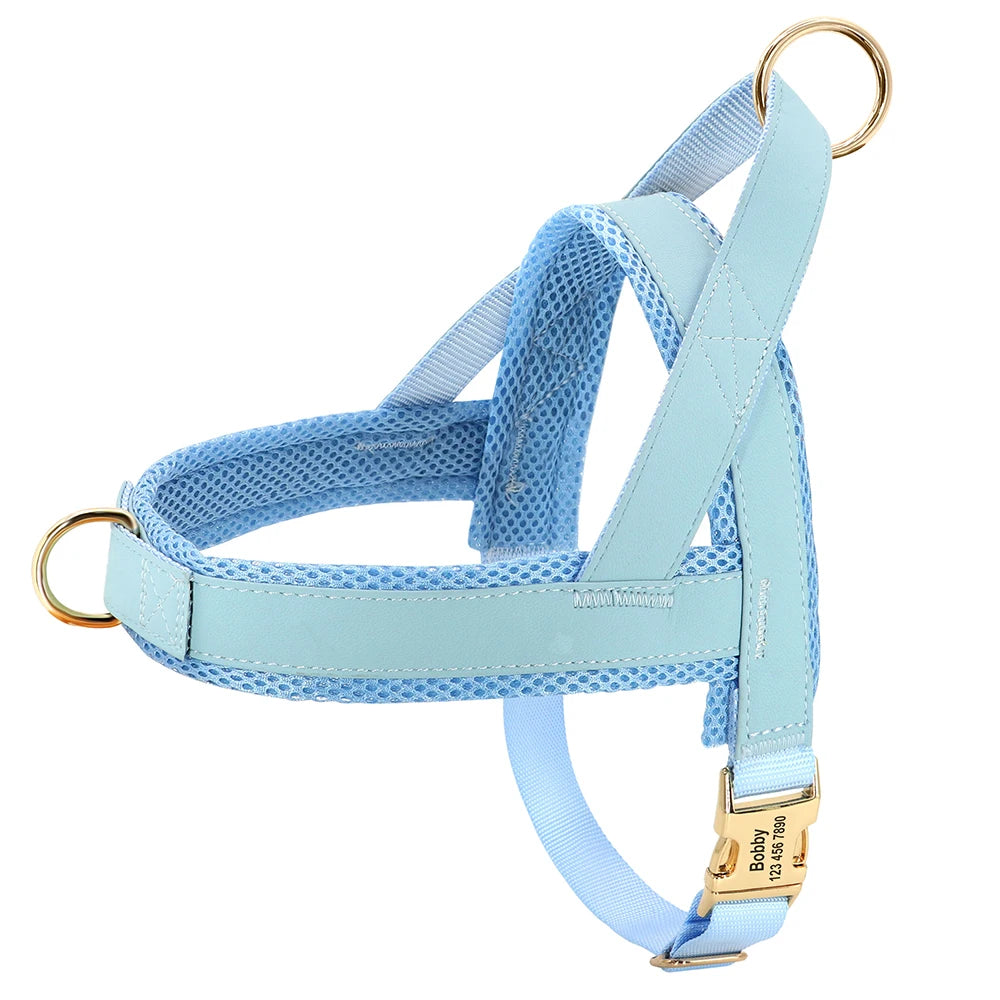 Personalized Leather Dog Collar & Harness Set with Custom ID – Perfect Fit for Every Dog