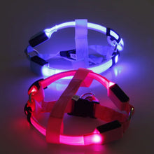 Load image into Gallery viewer, USB Rechargeable Luminous Dog Harness No Pull LED