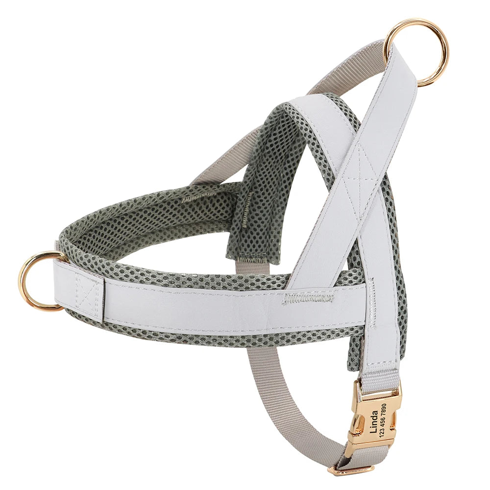 Personalized Leather Dog Collar & Harness Set with Custom ID – Perfect Fit for Every Dog
