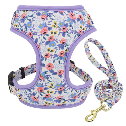 Adjustable Nylon Mesh Harness, Collar with Engraving & Leash Set for Small to Medium Pets