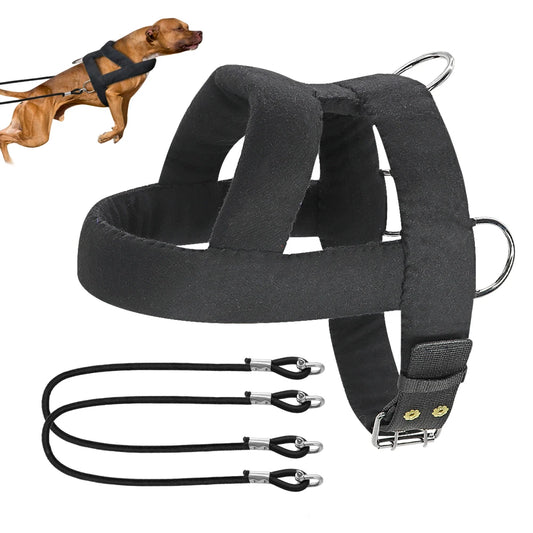 Heavy-Duty Sled & Weight Pulling Dog Harness - Ultimate Strength Training for Medium to Large Breeds