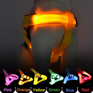 USB Rechargeable Luminous Dog Harness No Pull LED