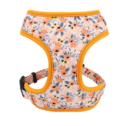 Adjustable Nylon Mesh Harness, Collar with Engraving & Leash Set for Small to Medium Pets