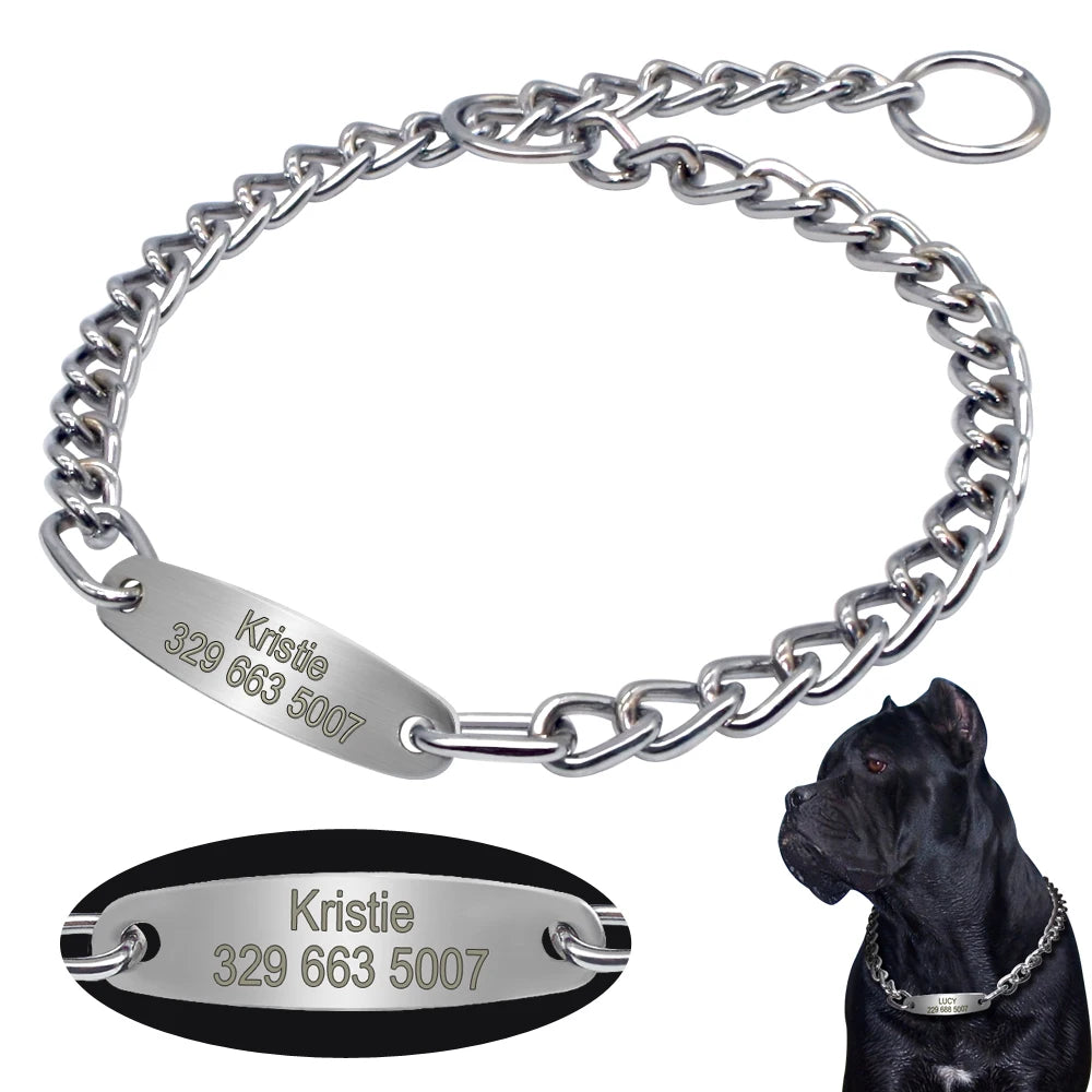 SilverPaw Personalized Metal Slip Collar – Custom Engraved Training Choker for Medium & Large Dogs