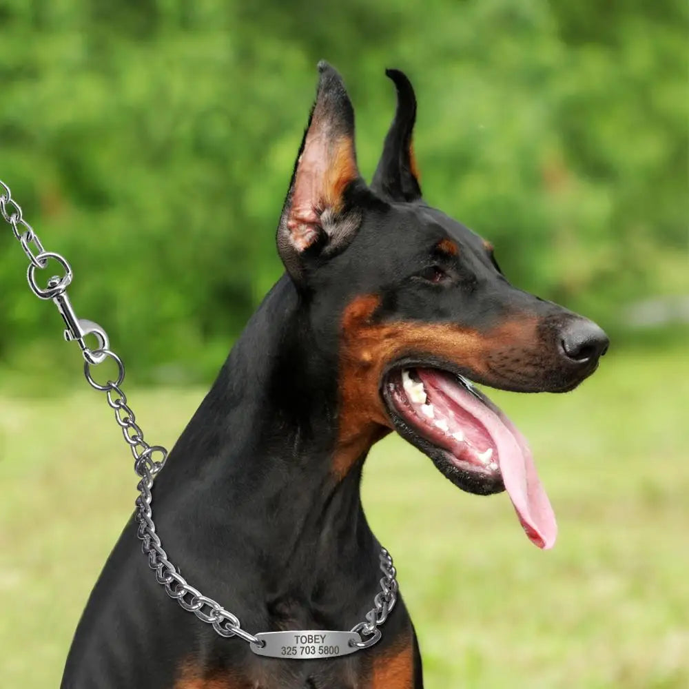 SilverPaw Personalized Metal Slip Collar – Custom Engraved Training Choker for Medium & Large Dogs