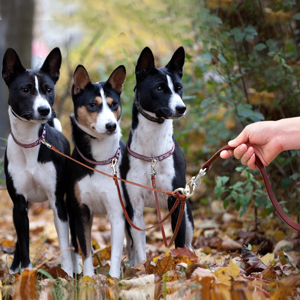 Effortless Trio: Leather No-Tangle Triple Dog Leash Coupler