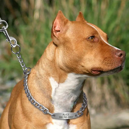 SilverPaw Personalized Metal Slip Collar – Custom Engraved Training Choker for Medium & Large Dogs