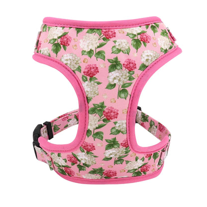 Adjustable Nylon Mesh Harness, Collar with Engraving & Leash Set for Small to Medium Pets