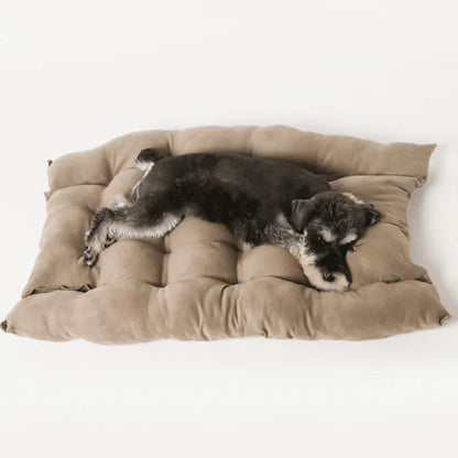 Multifunctional Pet Sofa Nest Bed – Ultra-Soft Machine-Washable Cushion for French Bulldogs, Pugs, and Cats