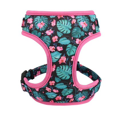 Adjustable Nylon Mesh Harness, Collar with Engraving & Leash Set for Small to Medium Pets