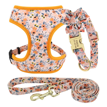 Adjustable Nylon Mesh Harness, Collar with Engraving & Leash Set for Small to Medium Pets