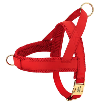 Personalized Leather Dog Collar & Harness Set with Custom ID – Perfect Fit for Every Dog