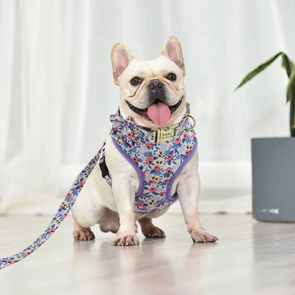 Adjustable Nylon Mesh Harness, Collar with Engraving & Leash Set for Small to Medium Pets