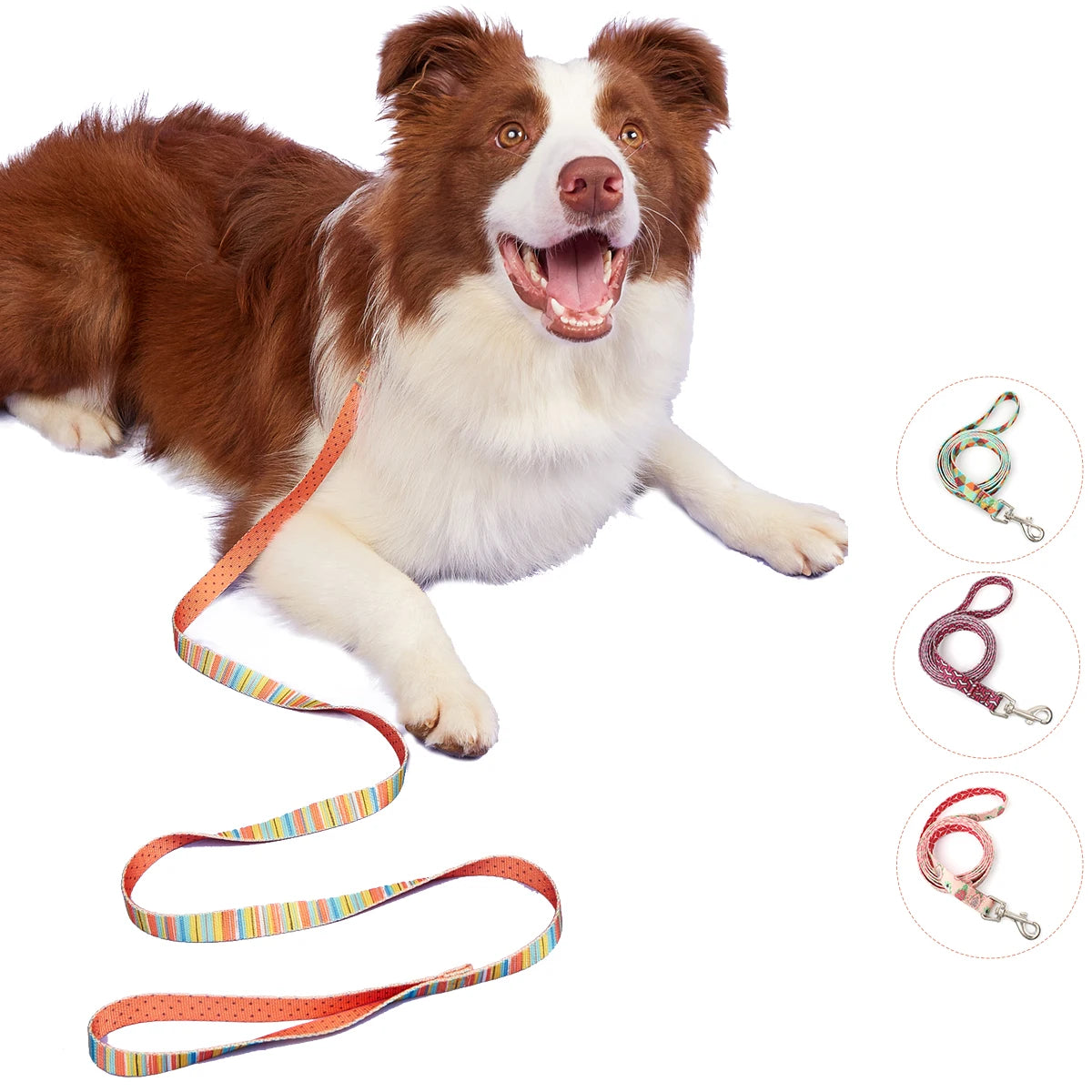 SilkPrint Comfort Leash – Vibrant Nylon Lead for Stylish Walk