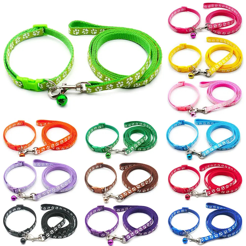 Adjustable Printed Collar & Leash Set – Ultimate Outdoor Freedom for All Life Stages