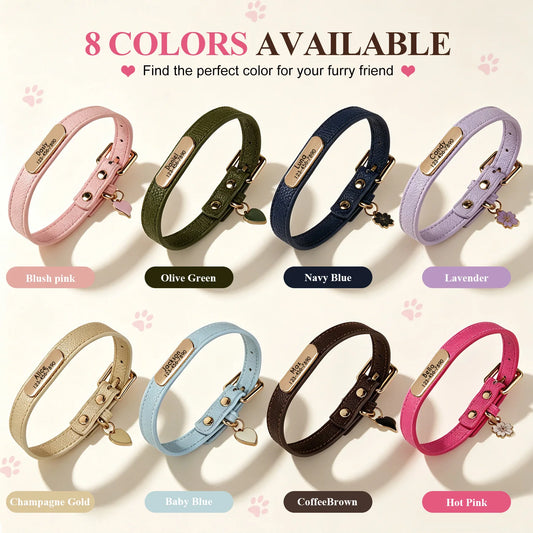 SoftGlow Custom PU Leather Collar – Gentle Comfort with Engraved Name Tag