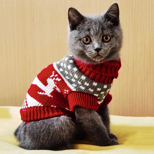 Cute Cat Sweater Costume Winter